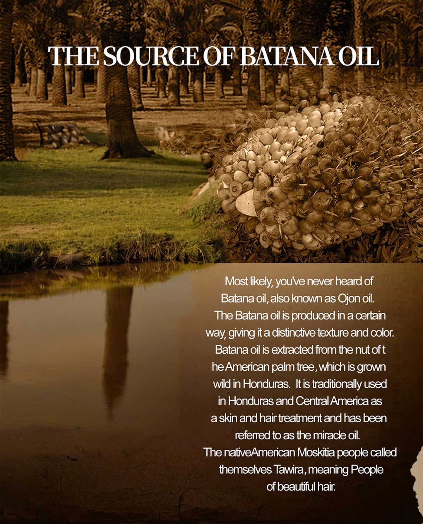 Batana Hair Care Oil